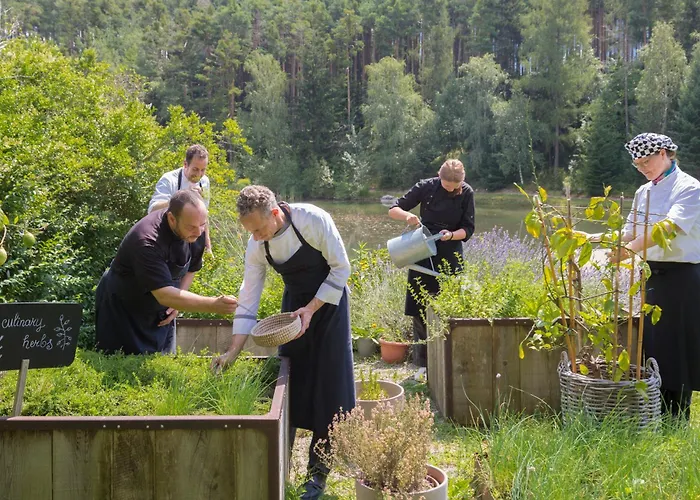 Hotel Seehof Nature Retreat